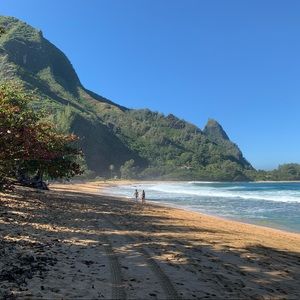 Meet your Posher, Wyatt